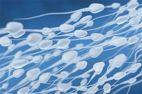 What does it mean to dream about sperm? What does it mean to dream about sperm?