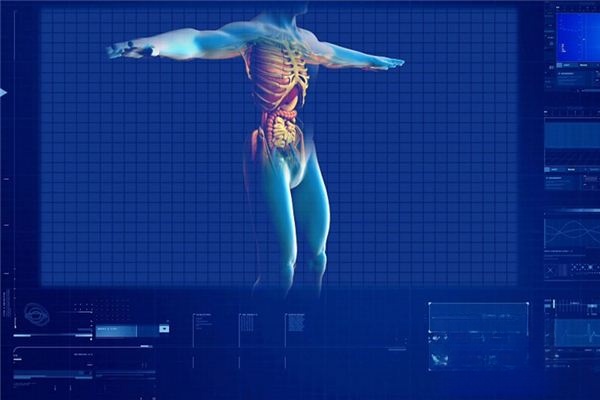 What does it mean to dream about kidneys? What does it mean to dream about kidneys?