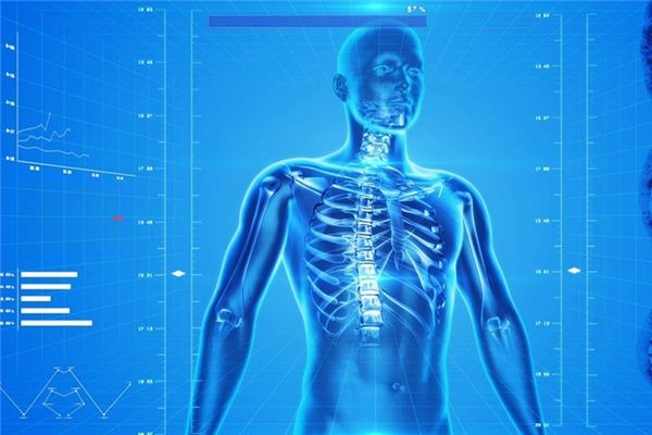 What does it mean to dream of bone marrow? What does it mean to dream of bone marrow?