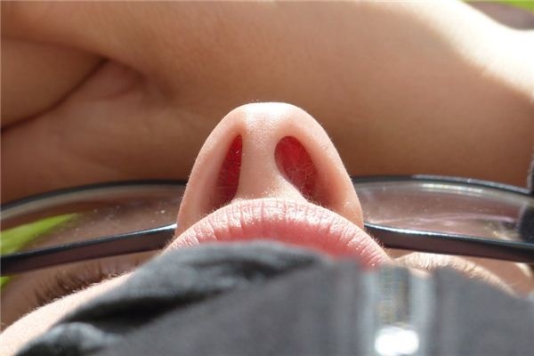 What does it mean to dream about nostrils? What does it mean to dream about nostrils?