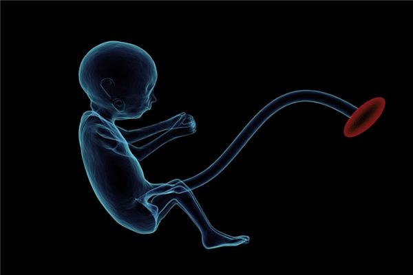 What does it mean to dream about a fetus? What does it mean to dream about a fetus?