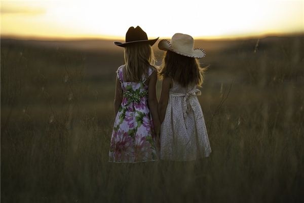 What does it mean to dream of sisters? What does it mean to dream of sisters?