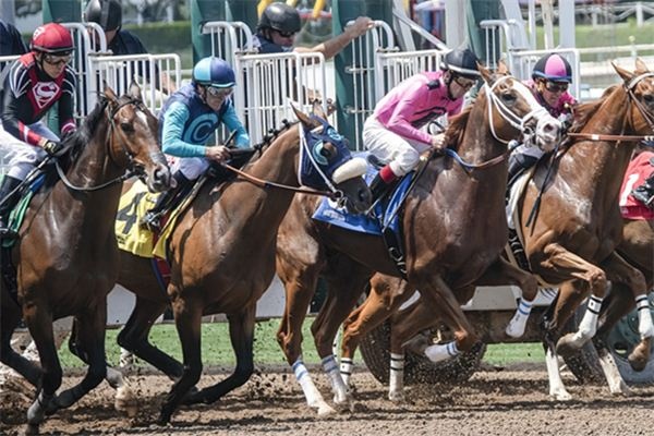 What does it mean to dream of horse racers? What does it mean to dream of horse racers?