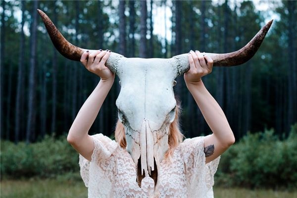 What does it mean to dream of having horns on your head? What does it mean to dream of having horns on your head?