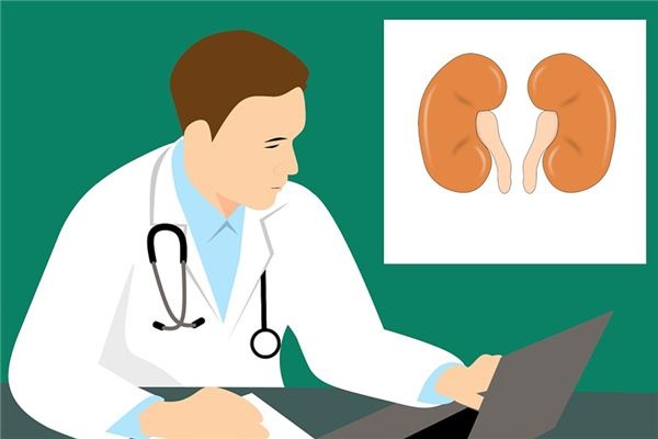 What does it mean to dream about kidneys? What does it mean to dream about kidneys?