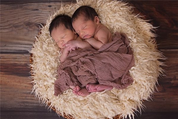 What does it mean to dream of twin brothers? What does it mean to dream of twin brothers?