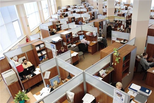 What does it mean to dream about employees? What does it mean to dream about employees?
