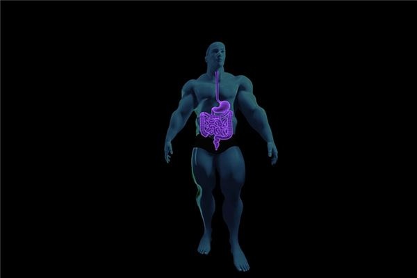 What does it mean to dream about intestines? What does it mean to dream about intestines?