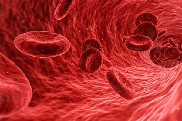 What does it mean to dream of blood? What does it mean to dream of blood?