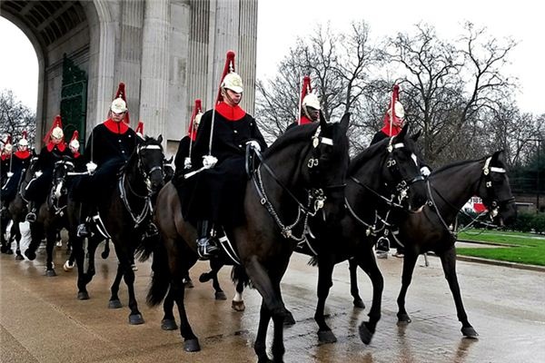 What does it mean to dream of a guard of honor? What does it mean to dream of a guard of honor?