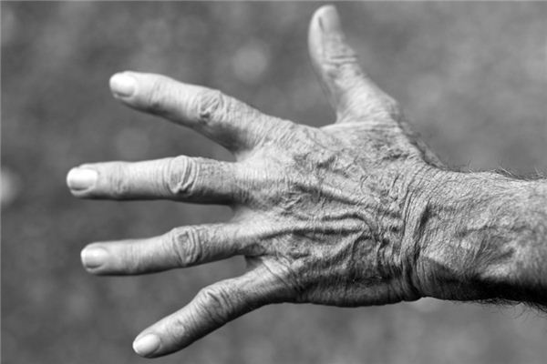 What does it mean to dream of wrinkles? What does it mean to dream of wrinkles?