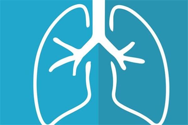 What does it mean to dream about lungs? What does it mean to dream about lungs?