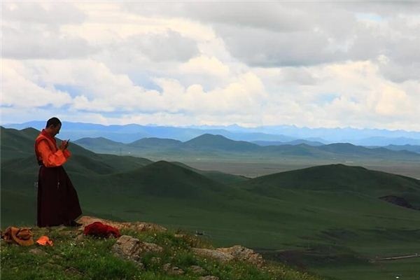 What does it mean to dream of a lama? What does it mean to dream of a lama?