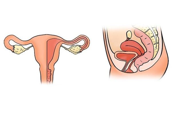 What does it mean to dream about the uterus? What does it mean to dream about the uterus?