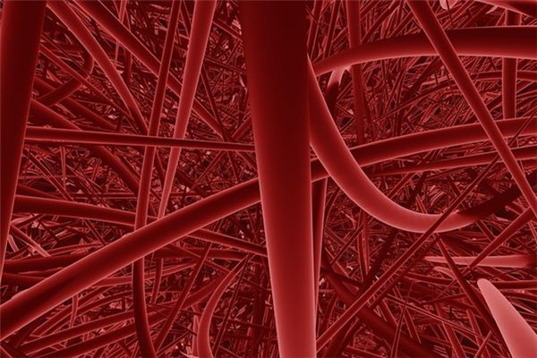 What does it mean to dream about blood vessels? What does it mean to dream about blood vessels?