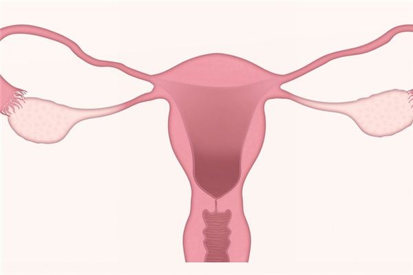 What does it mean to dream about a vagina? What does it mean to dream about a vagina?