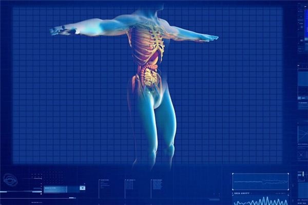 What does it mean to dream about lungs and liver? What does it mean to dream about lungs and liver?