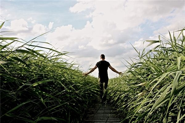 What does it mean to dream of growing taller? What does it mean to dream of growing taller?