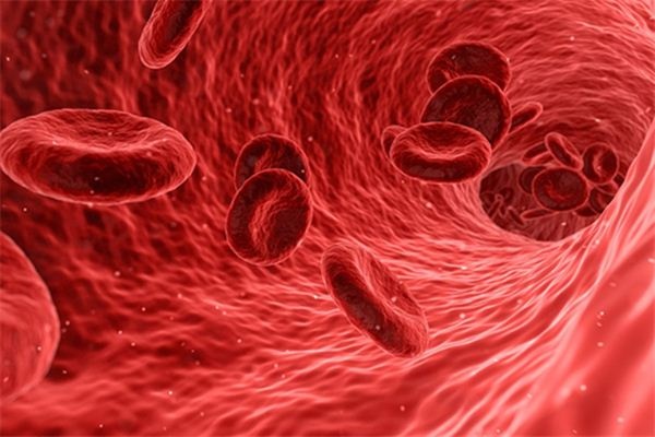What does it mean to dream about veins?