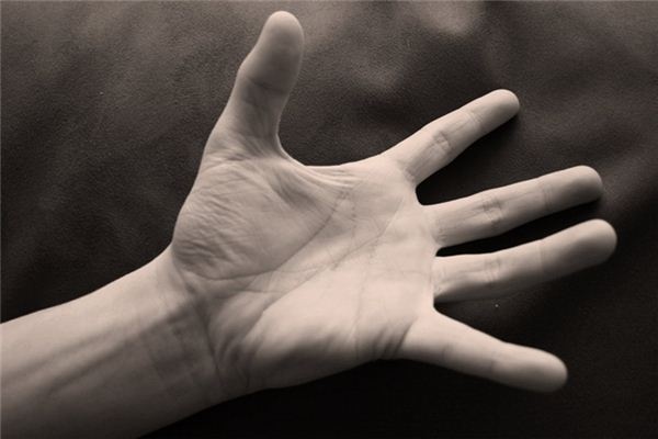 What does it mean to dream of a corpse? What does it mean to dream of a corpse?