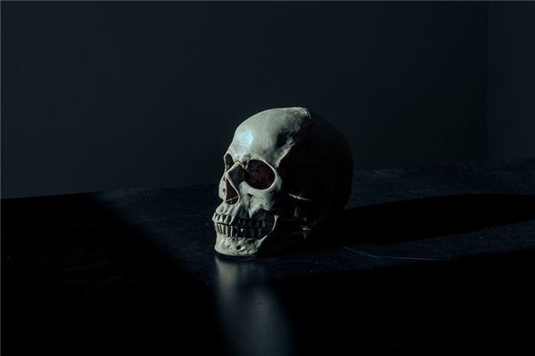 What does it mean to dream of a skull? What does it mean to dream of a skull?