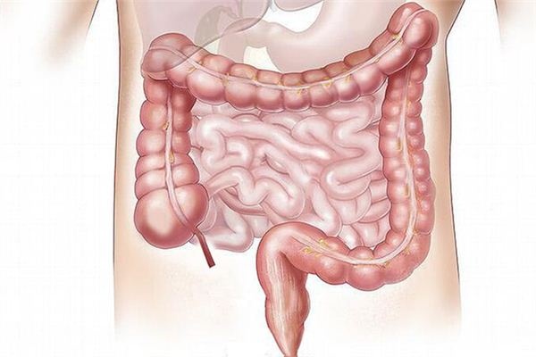 What does it mean to dream about intestines? What does it mean to dream about intestines?