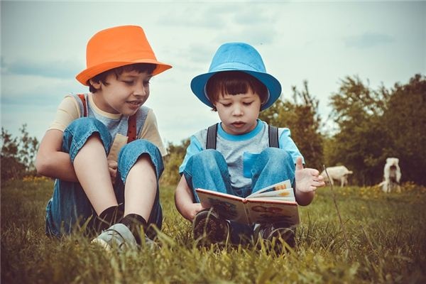 What does it mean to dream of brothers? What does it mean to dream of brothers?