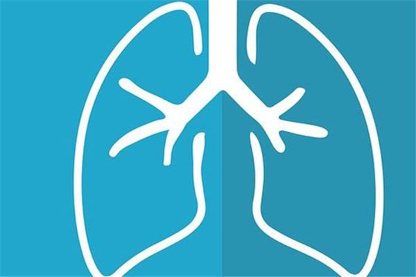 What does it mean to dream about lungs? What does it mean to dream about lungs?
