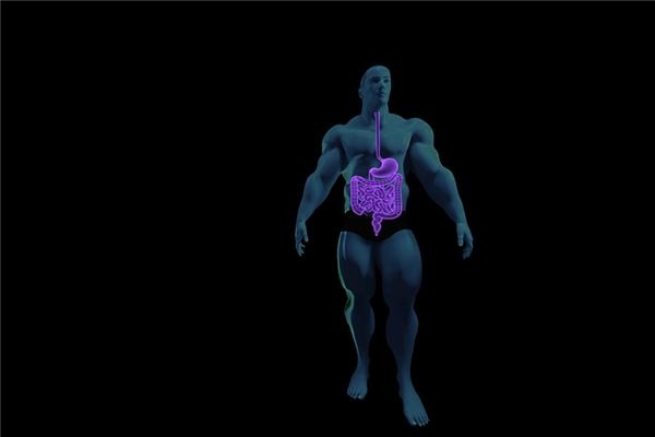 What does it mean to dream about the stomach and intestines? What does it mean to dream about the stomach and intestines?