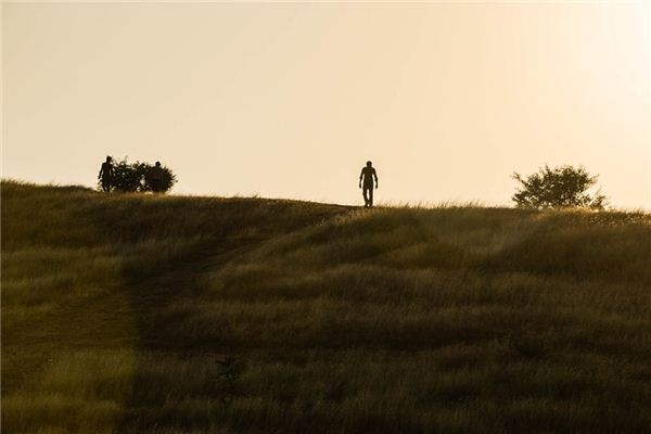 What does it mean to dream of a bachelor? What does it mean to dream of a bachelor?