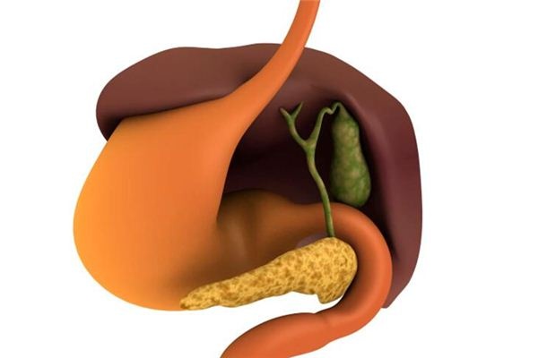 What does it mean to dream of gallbladder? What does it mean to dream of gallbladder?