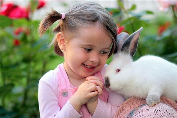 I dreamed of bringing a rabbit to my side.