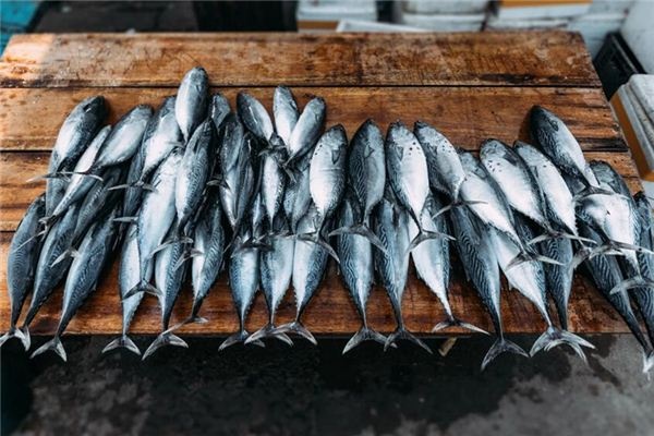 What does it mean to dream of dead fish? What does it mean to dream of dead fish?