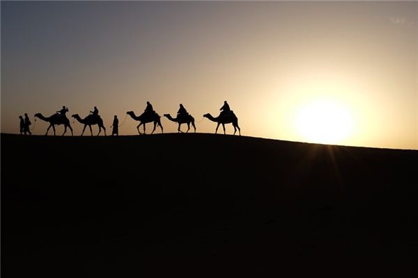 What does it mean to dream of riding a camel? What does it mean to dream of riding a camel?