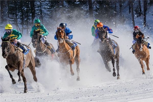 Dreaming of horse racing with many people