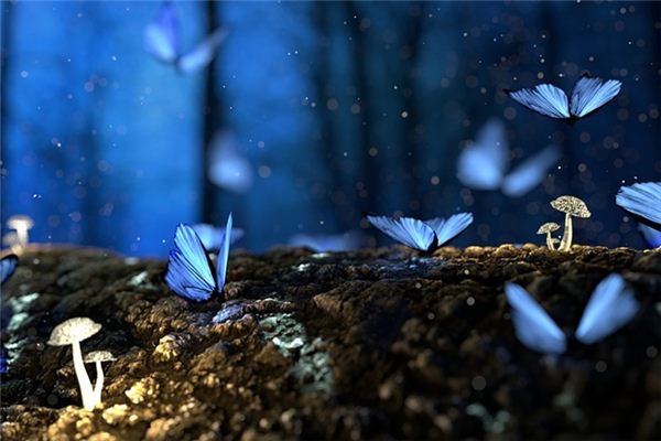 What does it mean to dream of a flying moth? What does it mean to dream of a flying moth?