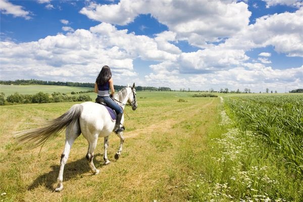Dreaming of riding a horse