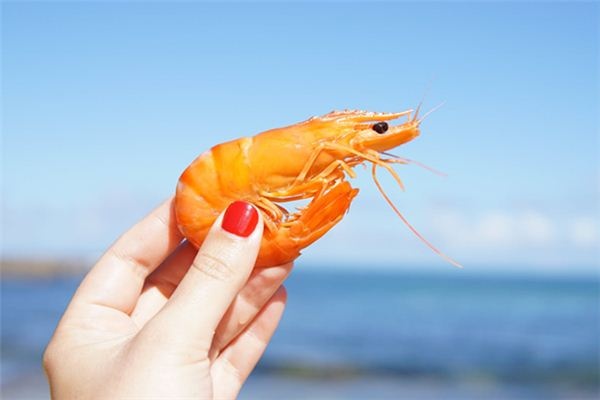 What does it mean to dream of shrimp? What does it mean to dream of shrimp?