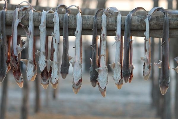 What does it mean to dream of dried fish? What does it mean to dream of dried fish?