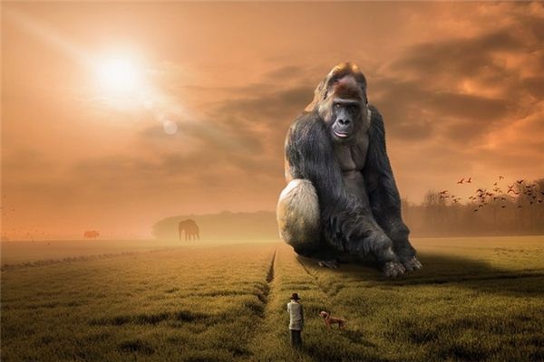 What does it mean to dream of gorillas? What does it mean to dream of gorillas?