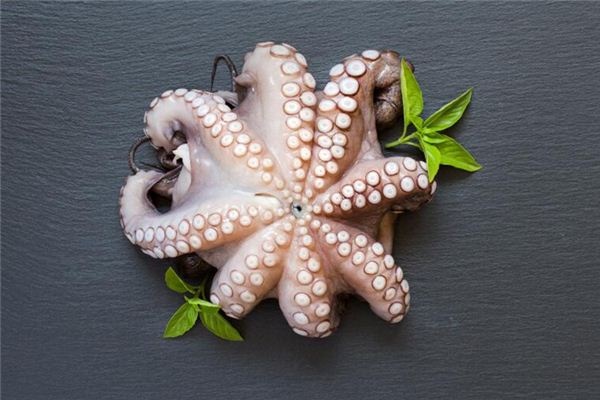 Dreaming of octopus Dreaming of octopus