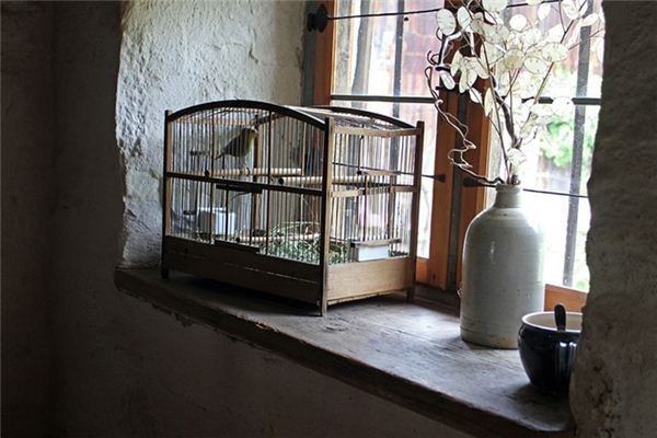 What does it mean to dream of a caged bird? What does it mean to dream of a caged bird?