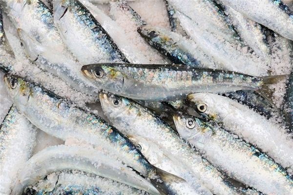 What does it mean to dream of sardines? What does it mean to dream of sardines?
