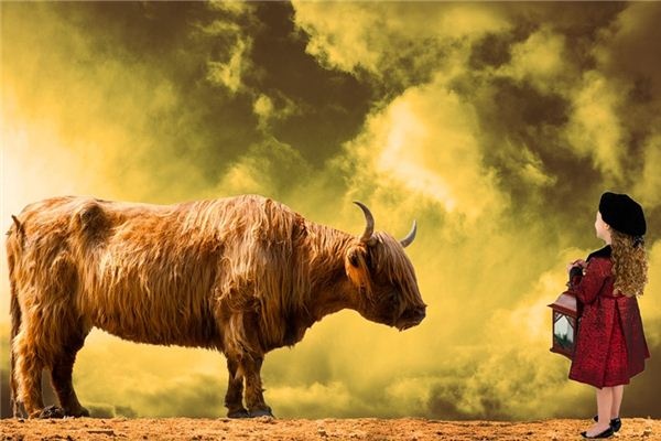 What does it mean to dream of a young bull? What does it mean to dream of a young bull?