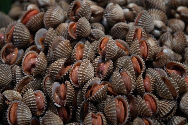 What does it mean to dream of clams? What does it mean to dream of clams?