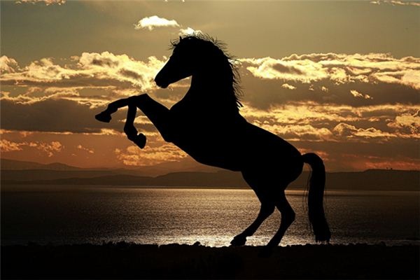 What does it mean to dream of riding a big black horse? What does it mean to dream of riding a big black horse?