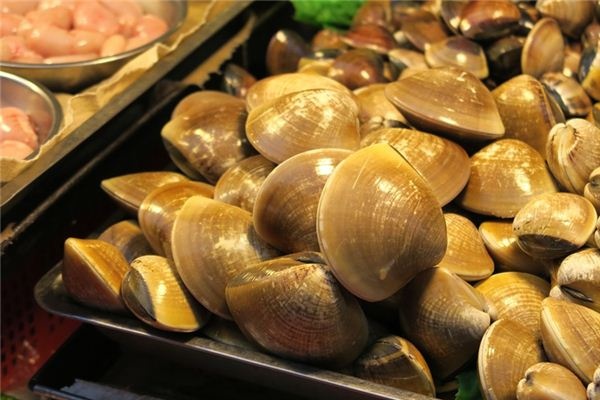 What does it mean to dream of clams? What does it mean to dream of clams?