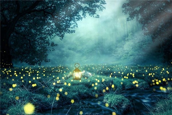 What does it mean to dream of fireflies? What does it mean to dream of fireflies?