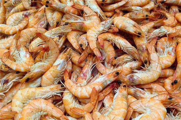What does it mean to dream of shrimp?