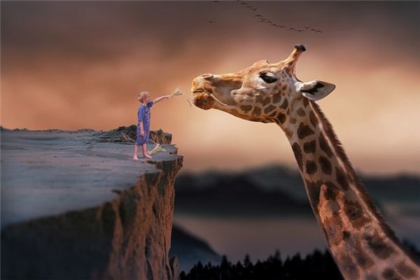 What does it mean to dream of a giraffe? What does it mean to dream of a giraffe?